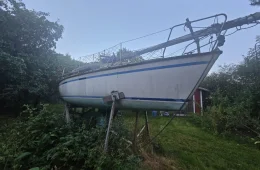 Finn Express 74