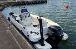 Bayliner Element CC6