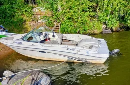 Sea Ray 175 Sport