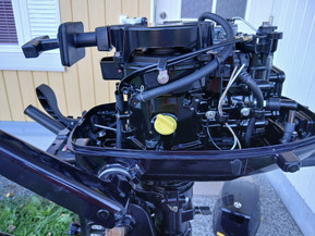 Tohatsu MFS 5