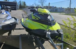 Sea-Doo RXP-XRS 300