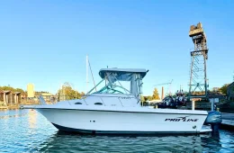 Proline 2950 Mid Cabin