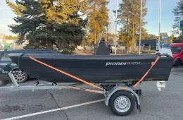 Pioner 14 Active