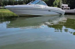 Sea Ray 175 Sport